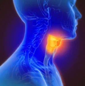 Hipotiroidismo Causado por Glándula Tiroides Atrófica